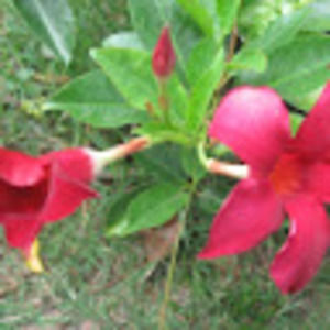 Meet your Posher, Wesley